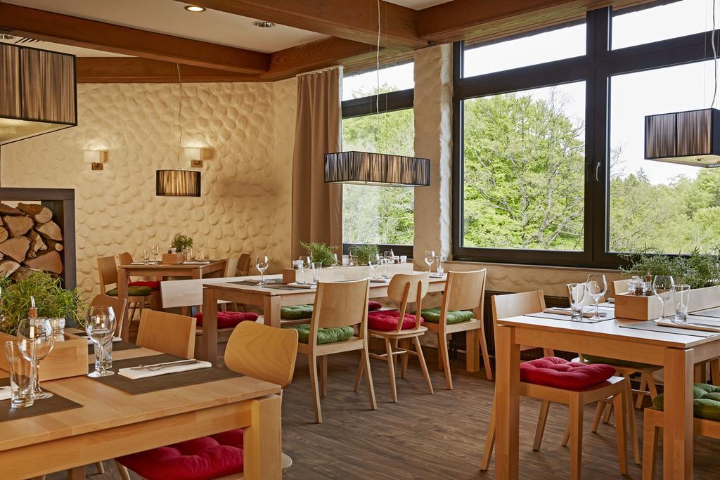 H+ Hotel Willingen Willingen  Dış mekan fotoğraf