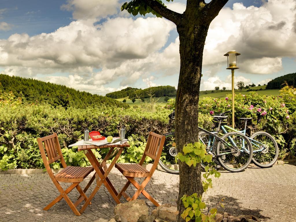H+ Hotel Willingen Willingen  Dış mekan fotoğraf