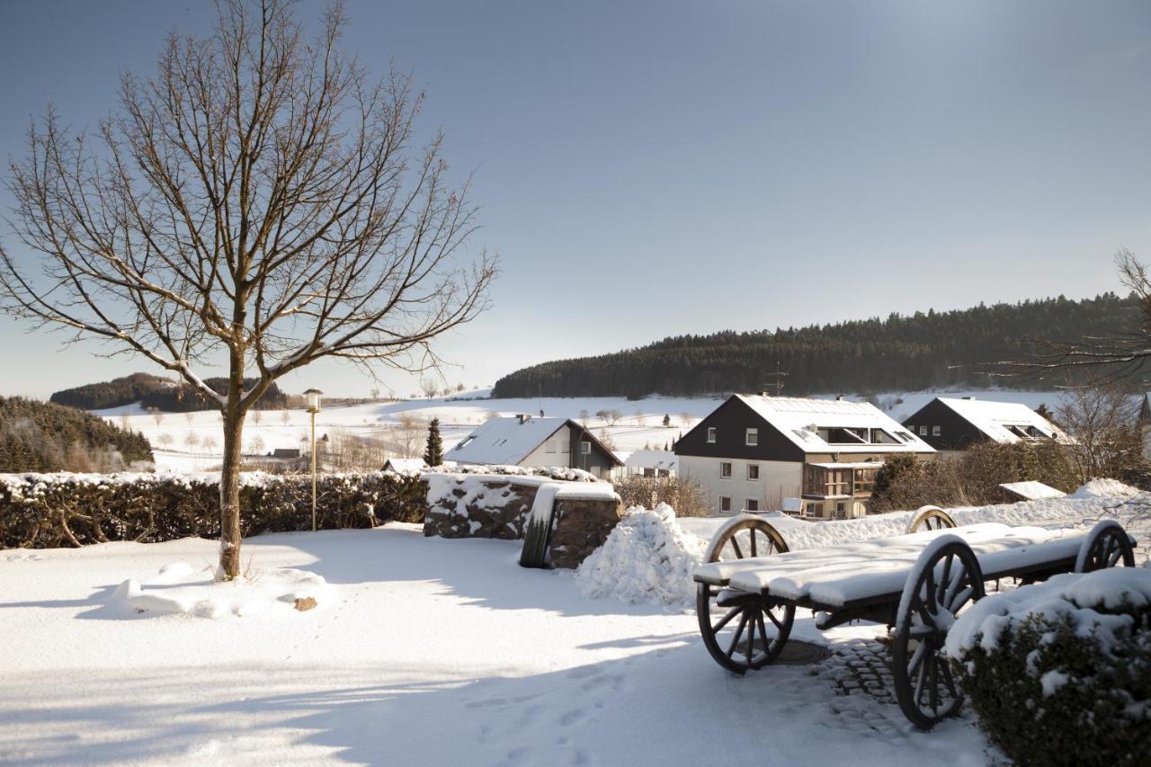 H+ Hotel Willingen Willingen  Dış mekan fotoğraf